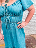Dolly Denim Dress